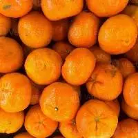 Premium Fresh Orange Wholesale Price