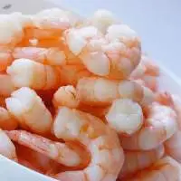 Export Quality Frozen Shrimp â?? Wholesale Suppl