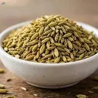 Fennel Seeds