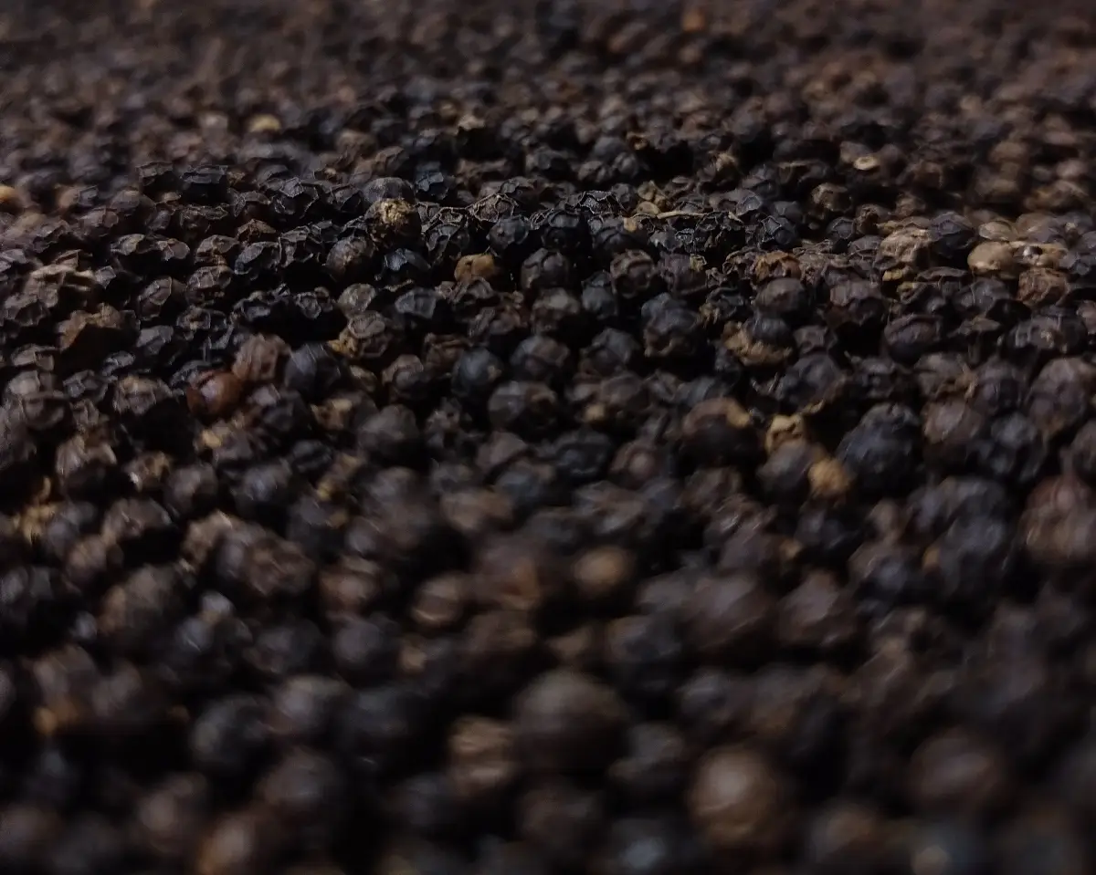 Lampung Black Pepper (Whole Peppercorns)