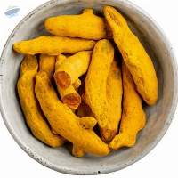 Dried Finger Turmeric For Spice Trade
