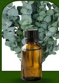 Eucalyptus Blue Gum Essential Oil (Raw)