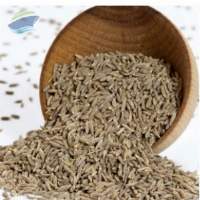  Premium Grade Whole Dried Cumin Seeds