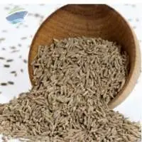  Premium Grade Whole Dried Cumin Seeds