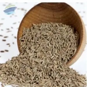  Premium Grade Whole Dried Cumin Seeds