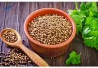  Premium Grade Whole Coriander Seeds (Dhaniya)