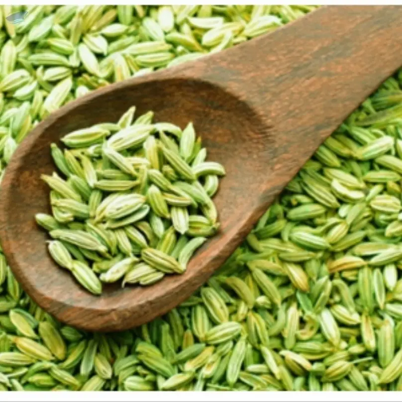 Fennel Seeds