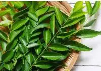 Curry Leaves