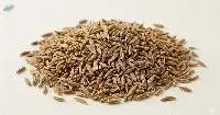 Cumin Powder (Singapore Sortex)