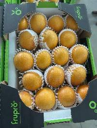 Granadilla (Passion Fruit)
