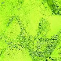 MatchaEX Commercial Matcha Powder