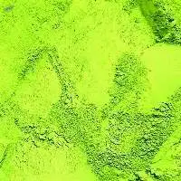 MatchaEX Commercial Matcha Powder