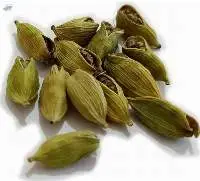 Cardamom