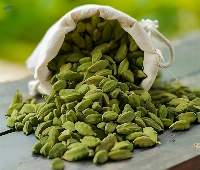 Natural Cardamom Spice Bulk Supply