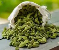 Natural Cardamom Spice Bulk Supply