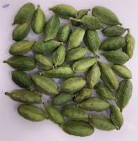 Cardamom