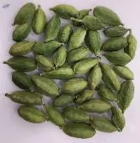 Cardamom