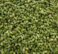 Cardamom