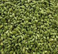 Cardamom