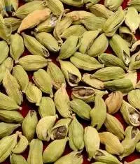 Cardamom