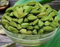 Export Grade Green Cardamom 7MM 8MM Fruit