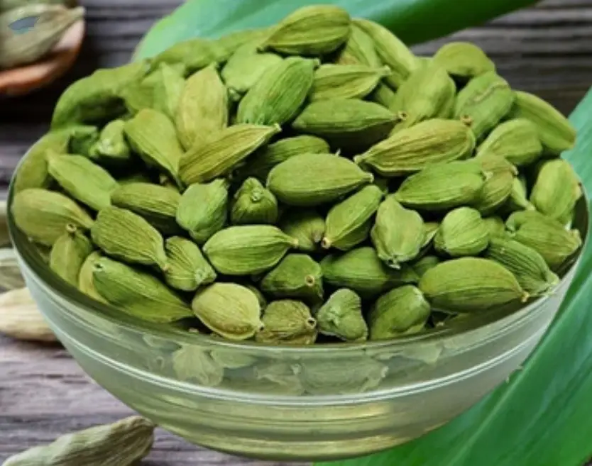 Export Grade Green Cardamom 7MM 8MM Fruit