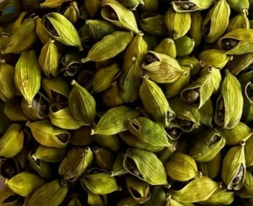 Export Grade Green Cardamom 7mm 8mm Split
