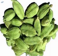 Export Grade Green Cardamom 8mm Bold (fruit)