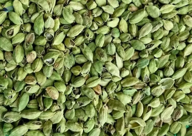 Export Grade Green Cardamom 8mm Bold (Split)