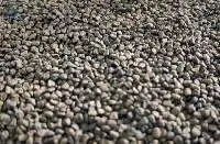 Export Grade De Oiled Seeds Green Cardamom