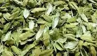 Export Grade Husk Green Cardamom 