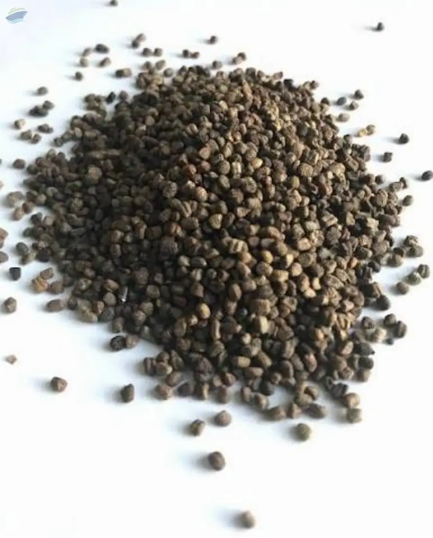 Export Grade Seed Double (Clean) Green Cardamom