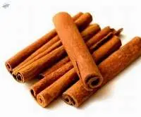 Cassia