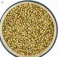 Whole Supply Coriander Scooter Grade