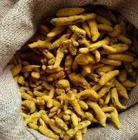 Turmeric