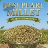 Desi Pearl Millet (Bajra) Grains