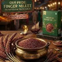 Finger Millet (Ragi) Whole Grain