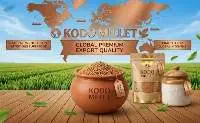 Kodo Millet Cleaned Whole Grain