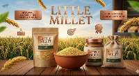 Little Millet Cleaned Whole Grains