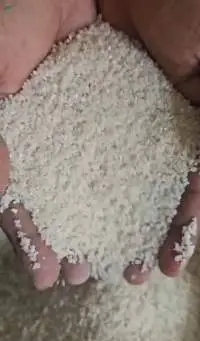 Broken Rice For Wine Making / Animal Feed