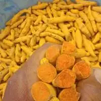 Export Grade Quality Turmeric Fingers
