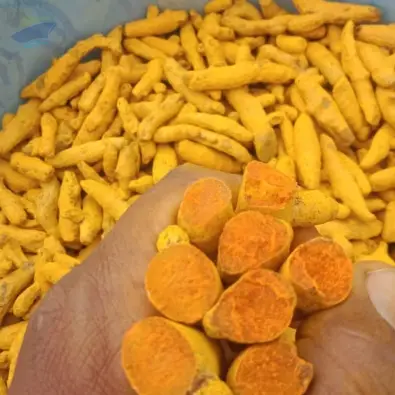 Export Grade Quality Turmeric Fingers