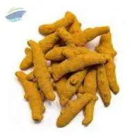Dried Whole Turmeric Finger- Rajapuri