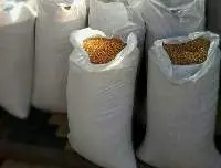 Feed Corn