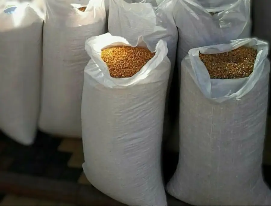 Feed Corn