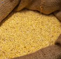 Yellow Millet