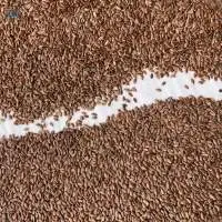 Oil Rapeseed
