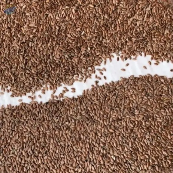 Oil Rapeseed