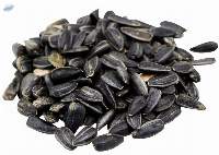 Sunflower Seeds