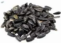 Sunflower Seeds